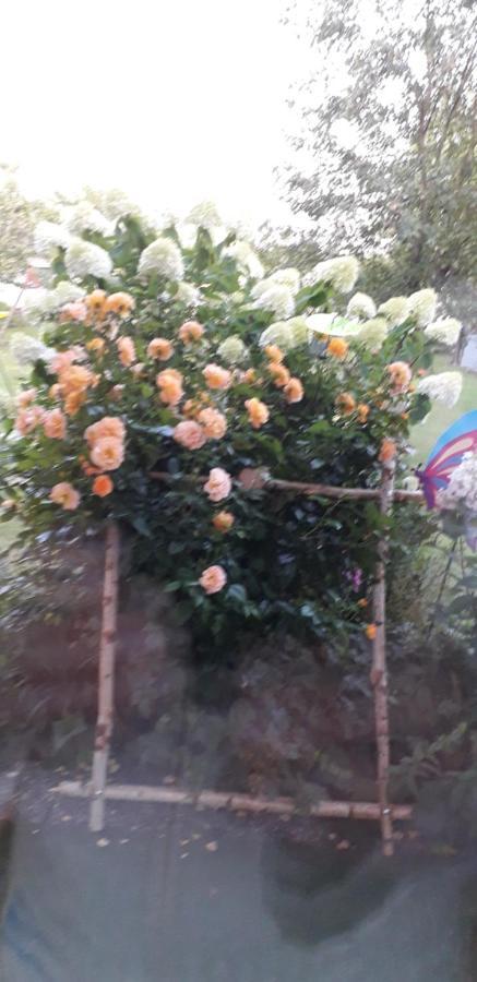 פרוידנשטאדט Gaestehaus Brigitte מראה חיצוני תמונה